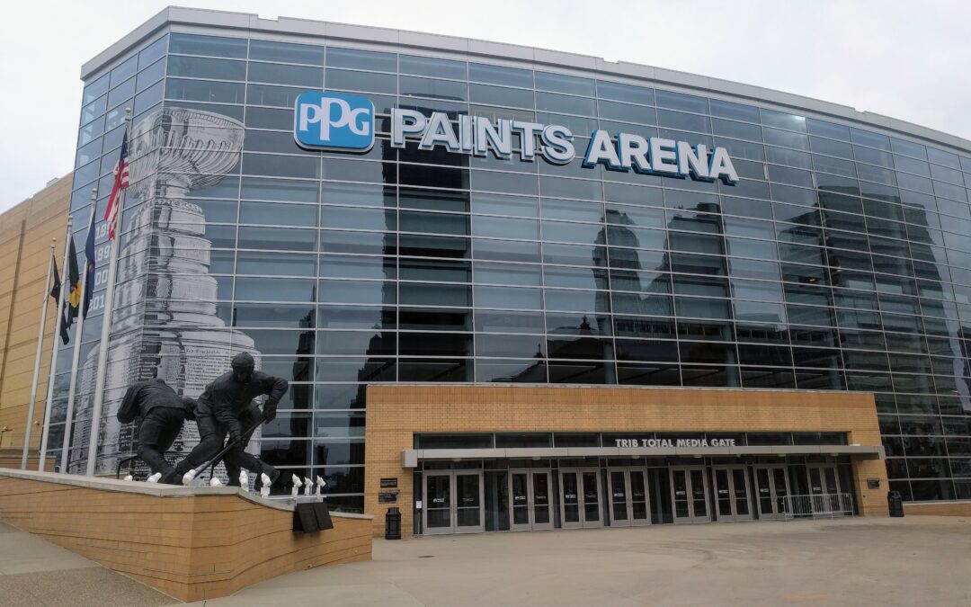 Professional Bull Riders